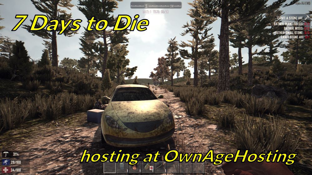 ownagehosting.com