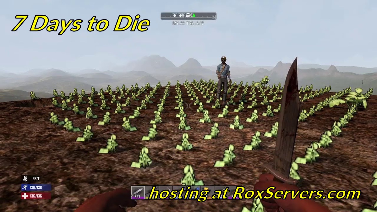 roxservers.com